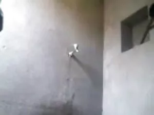 हॉट आमेचर टीन gf बेक ...