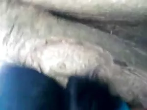 सौना पार्टी हिंदी से ...