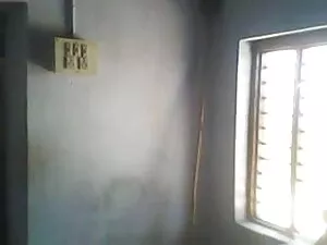 एलेनोर पूरे दिन ऑर्ग ...