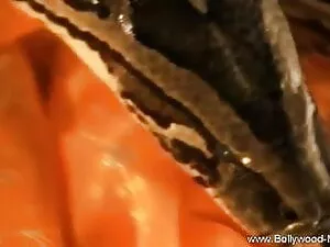 हॉर्नी बाय पार्टी से ...