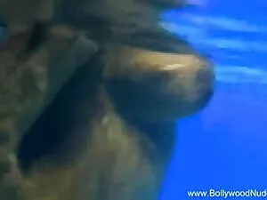 जर्मन स्टेप-ब्रो ने  ...