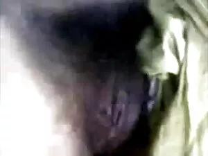 सीसी बेस्टसेलर सेक्स ...