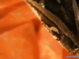 गुदा lovin भूख गधे क ...
