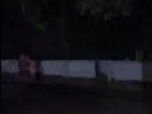 व्हाइट क्वाटरबैक के  ...